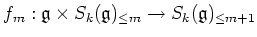 $\displaystyle f_m: \mathfrak{g}\times S_k(\mathfrak{g})_{\leq m} \to S_k(\mathfrak{g})_{\leq m+1}
$