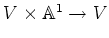 $V\times {\Bbb A}^1\to V$