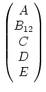 $\displaystyle \begin{pmatrix}
A \\
B_{12}\\
C\\
D\\
E
\end{pmatrix}$