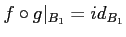 $\displaystyle f \circ g\vert _{B_1}=id_{B_1}
$