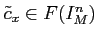 $ \tilde c_x \in F(I^n_{M})$