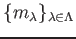 $ \{ m_\lambda\}_{\lambda \in \Lambda}$