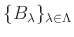 $ \{B_\lambda\}_{\lambda \in \Lambda}$