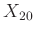 $ X_{20}$