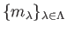 $ \{ m_\lambda\}_{\lambda \in \Lambda}$